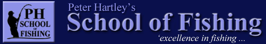 The School of Fishing